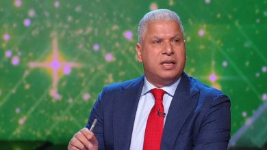 وائل جمعة ينتقد تصرفات حسام حسن